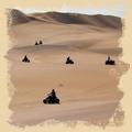 Quadbike fahren in     der Wüste