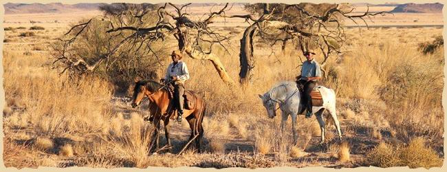 Naturerlebnis Namibwüste zu Pferd