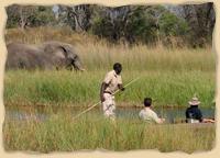 Chobe Nationalpark - Der Elefantenpark