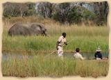 Chobe Nationalpark - Der Elefantenpark
