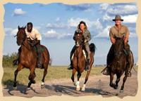 Kalahari zu Pferde
