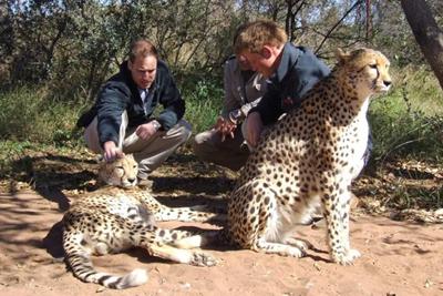  Prinz Harry und William mit Geparden