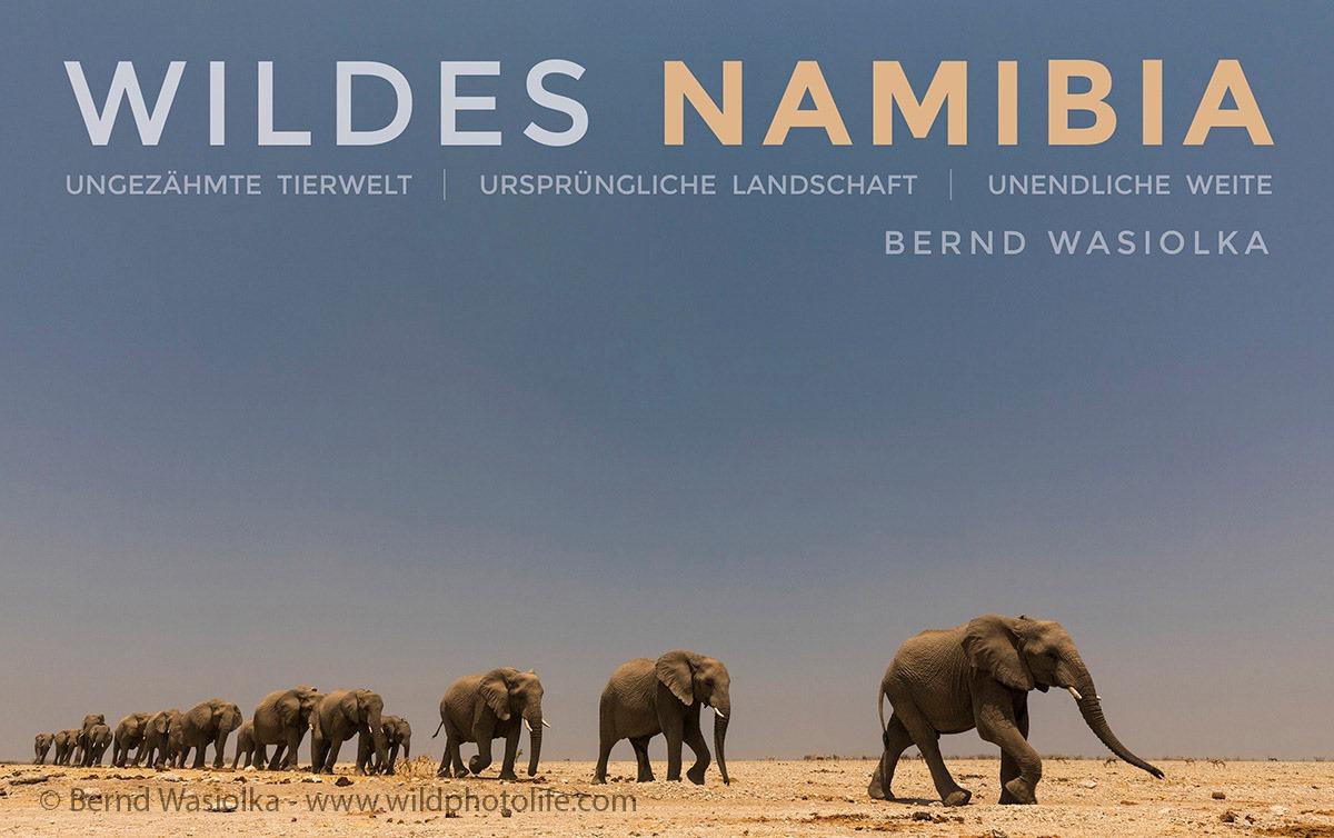 Cover - Wildes Namibia