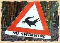 Lieber nicht Schwimmen