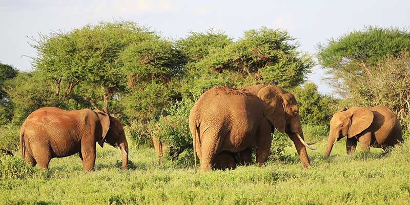 Bwana Angola Karte Bwana Angola Spezialtour