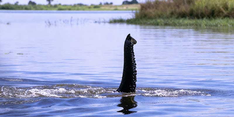 Zipfelstürmer Spezial-Tour 2026 Zipfelstürmer Spezial-Tour 2026