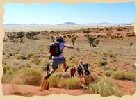 Aktivitäten in der Namib